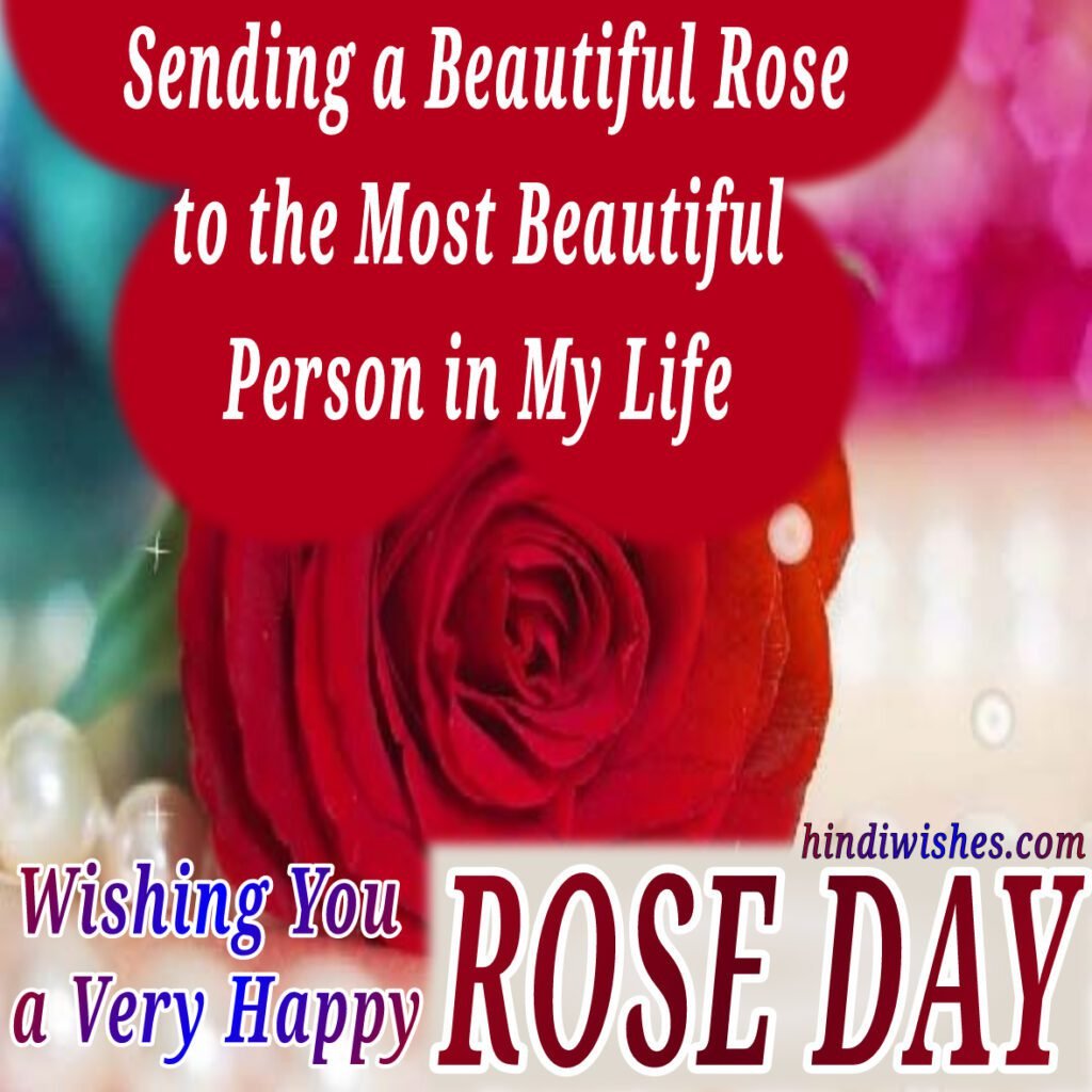 Rose Day 2023 Images -05