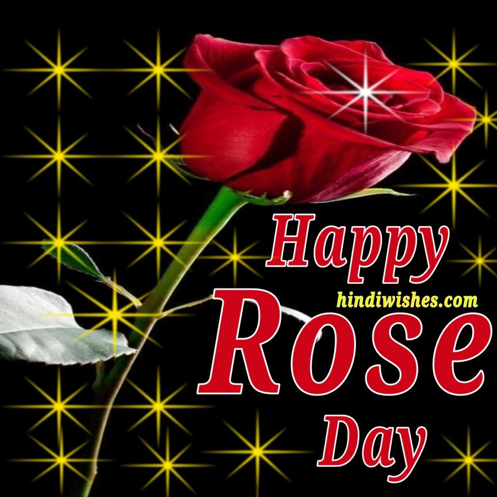 Rose Day 2023 Images -08