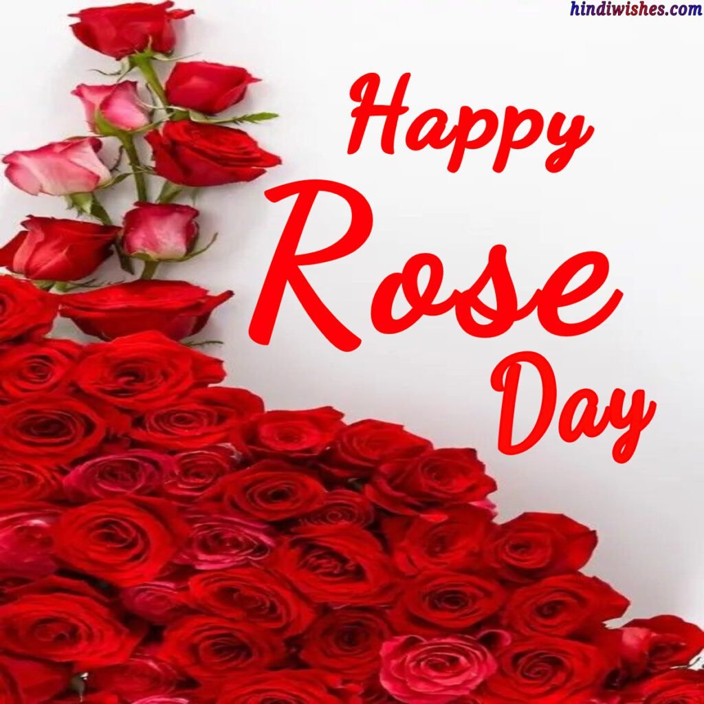 Rose Day 2023 Images -09