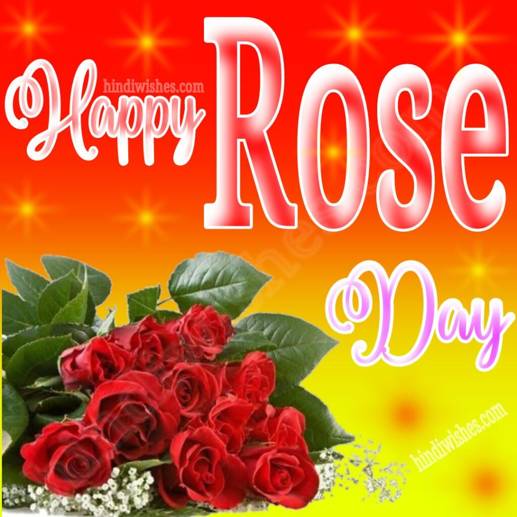 Happy Rose Day 00