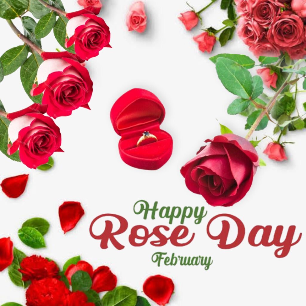 Rose Day Images 2025 -09