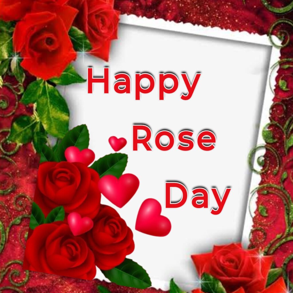 Rose Day Images 2025 -01