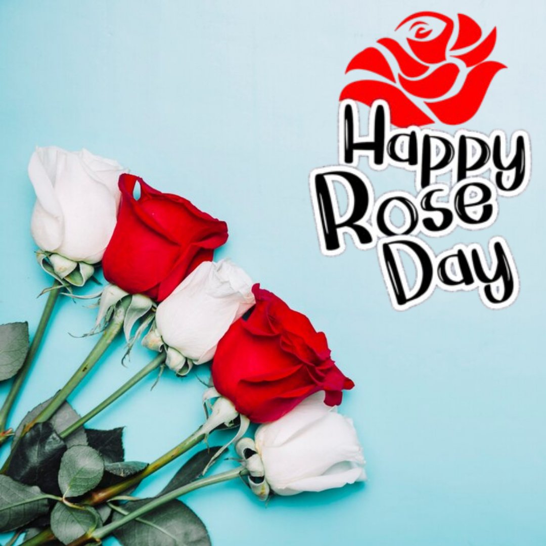 Happy Rose Day