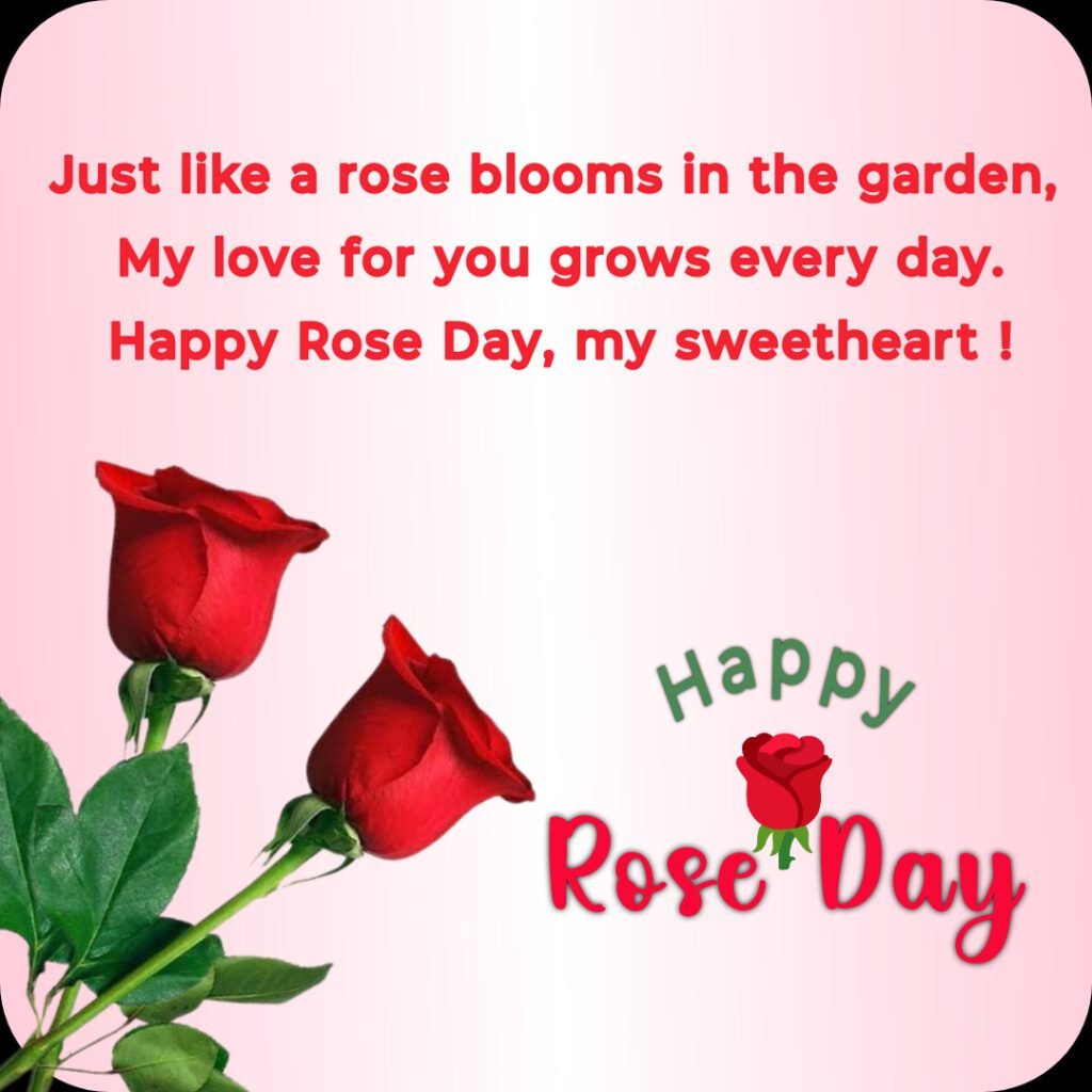 Happy Rose Day -04