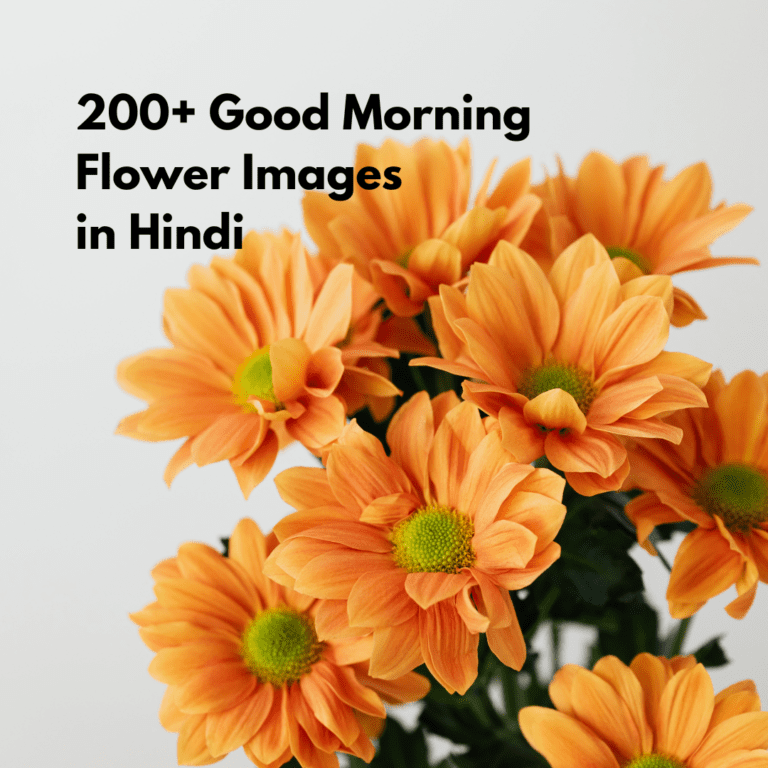 200+ Good Morning Flower Images in Hindi
