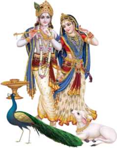 Holi PNG Images Free Download 77